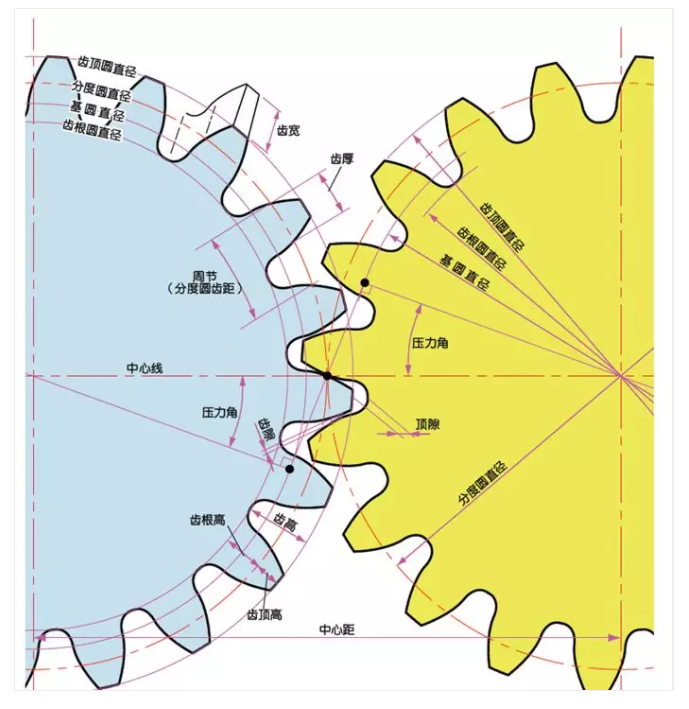 齿轮各部位的名称